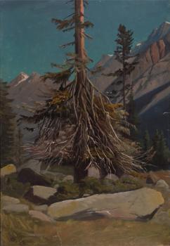 Knud Baade : Study of trees in the alps